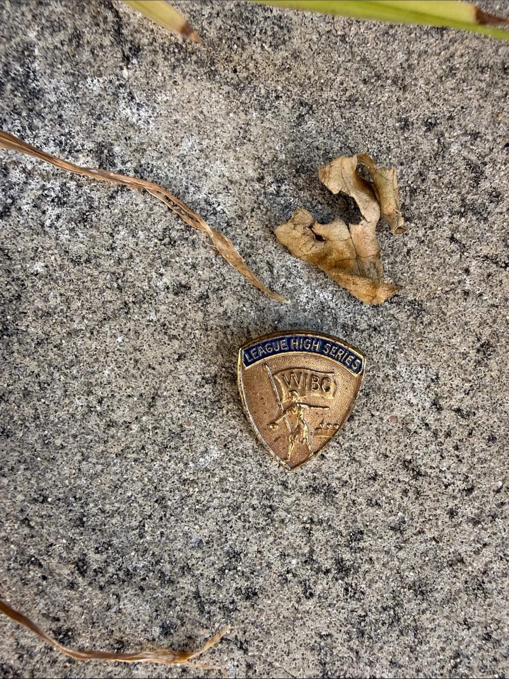 Vintage League High Series WIBC Brass Pin - Blue & Gold